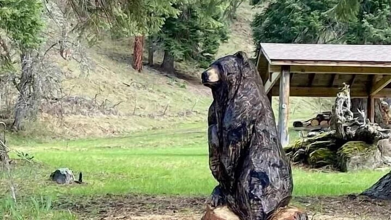 Photo of Outdoor in Kooskia