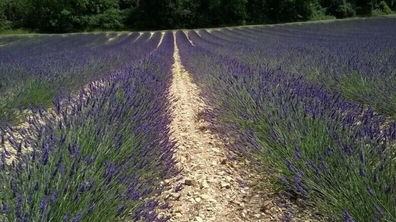 Photo of Outdoor in Les Salles-sur-Verdon