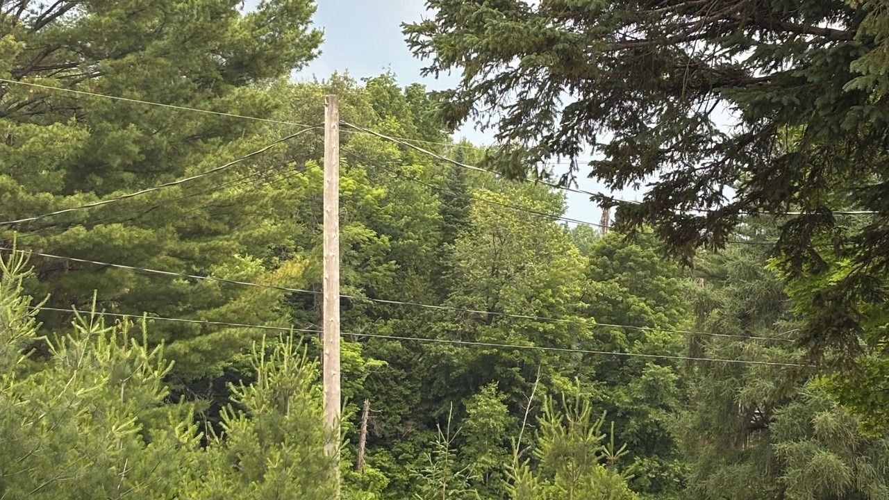 Photo of Others in Rawdon