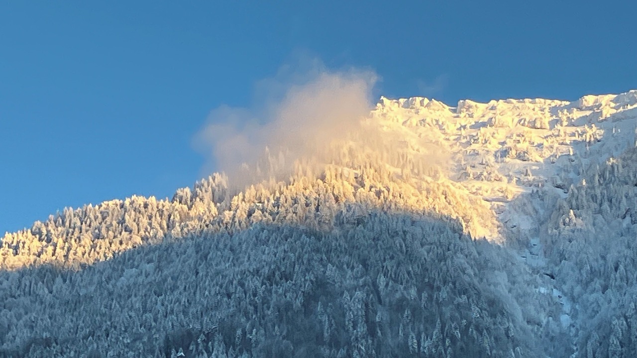 Photo of Outdoor in Schanis