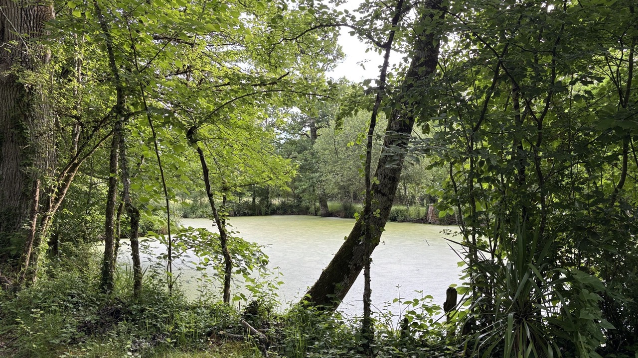 Photo of Outdoor in Romorantin-Lanthenay