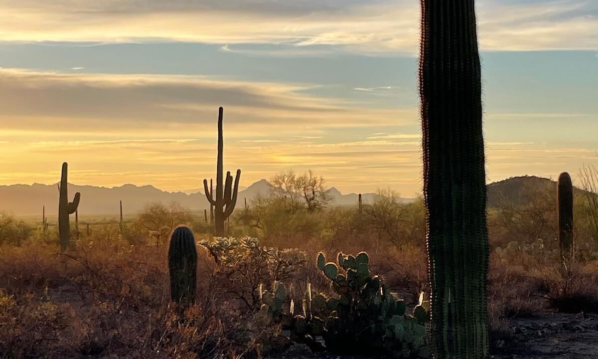 Photo of Outdoor in Marana