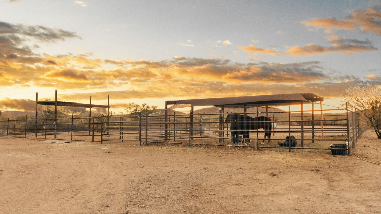 Photo of Outdoor in Marana
