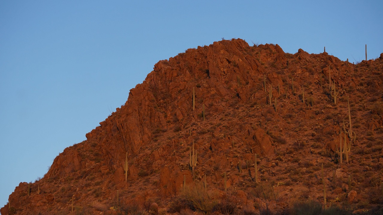 Photo of Others in Marana
