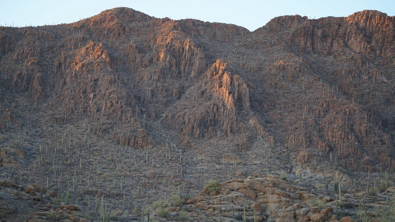 Photo of Others in Marana