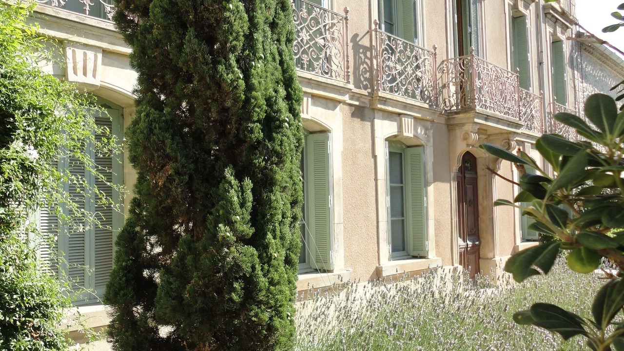 Photo of Outdoor in Moux