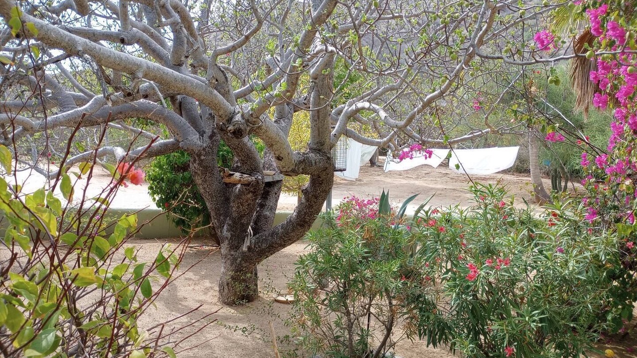 Photo of Outdoor in Cabo Pulmo