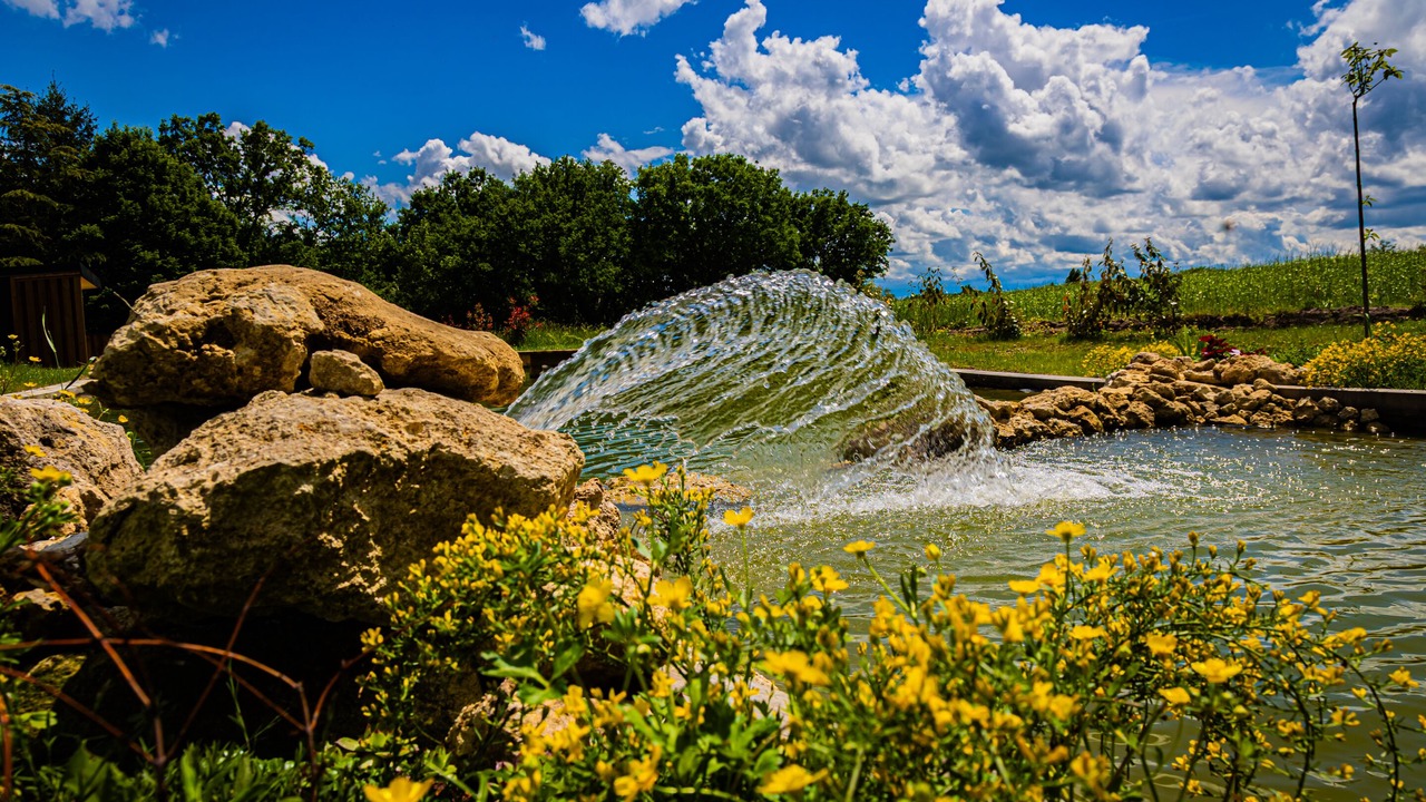 Photo of Others in Premilhat