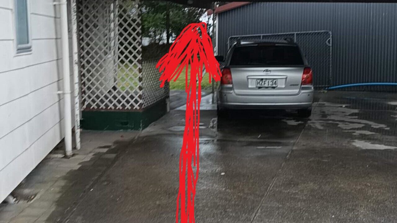 Photo of Outdoor in Rotorua