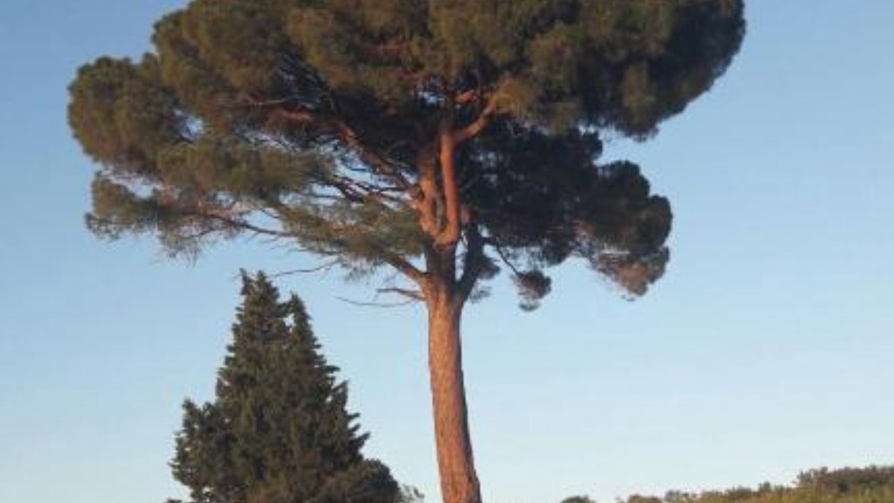 Photo of Outdoor in Brzac