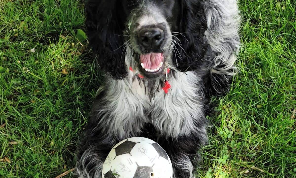 Photo of Others in Evry