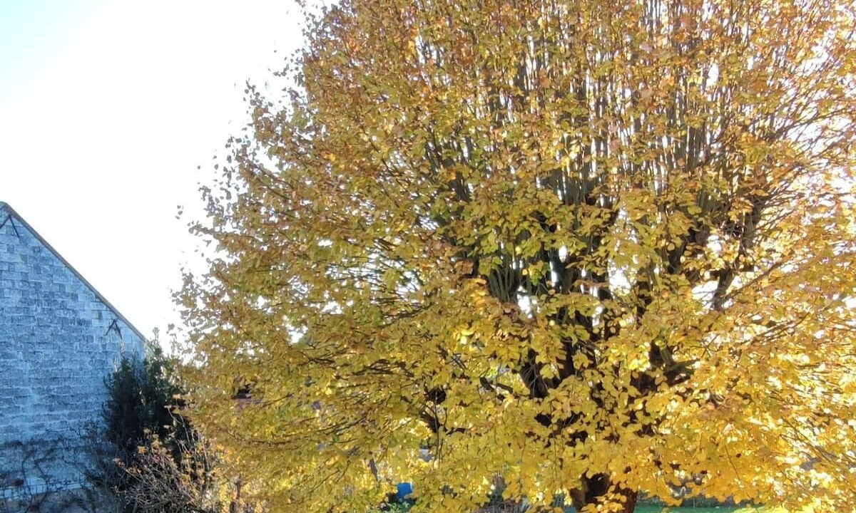 Photo of Outdoor in Evry