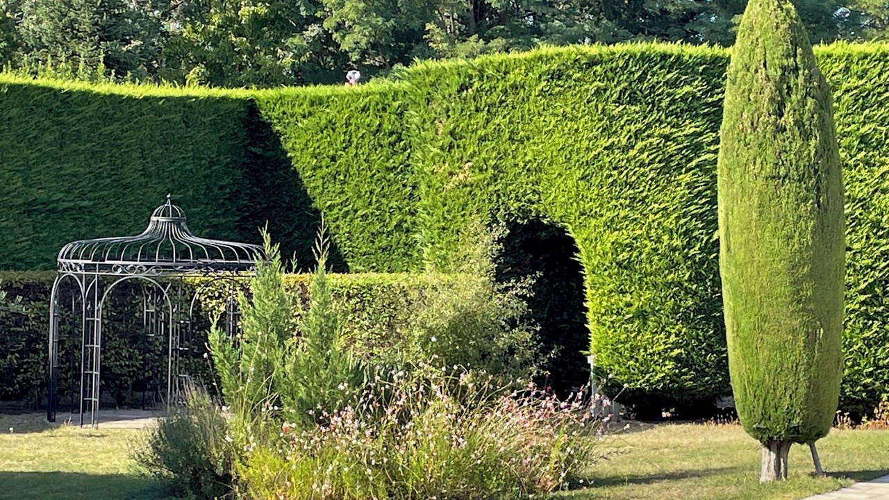 Photo of Outdoor in Vernou-sur-Brenne