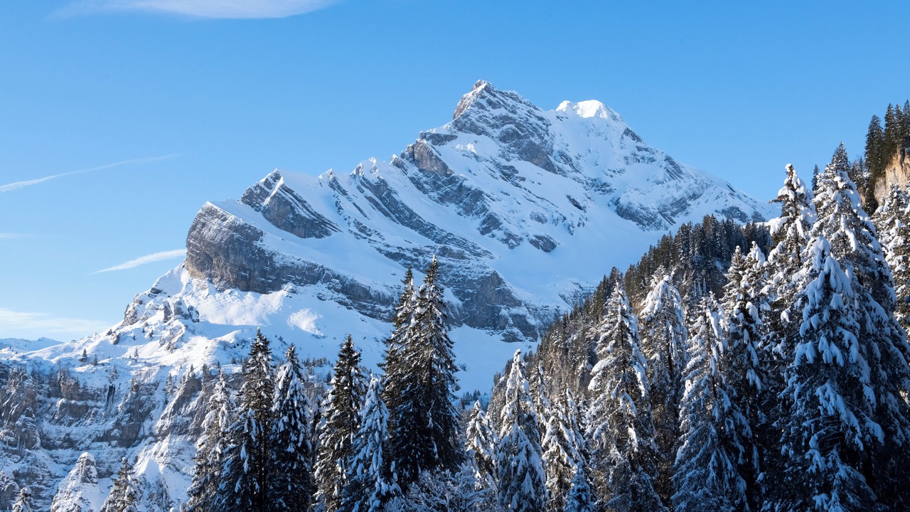 Photo of Others in Braunwald