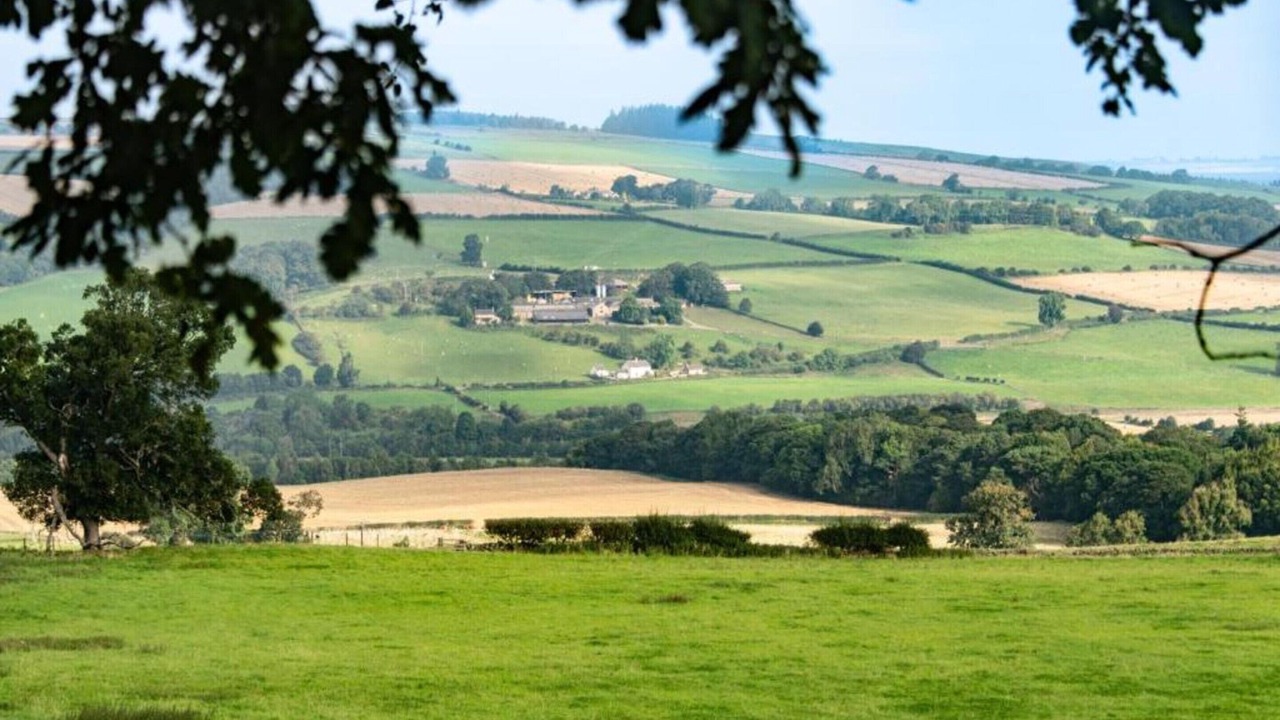 Photo of Others in Langley-on-Tyne