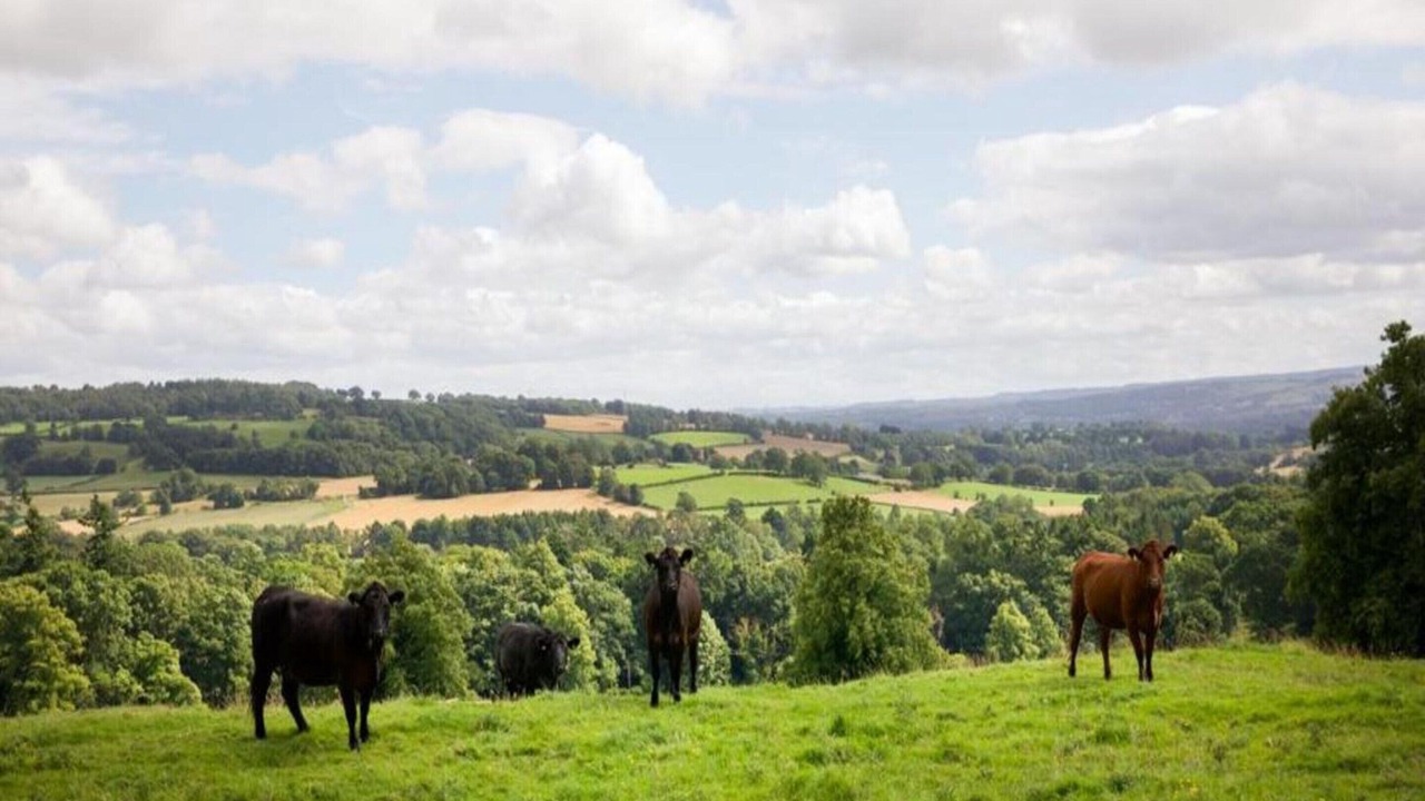 Photo of Others in Langley-on-Tyne