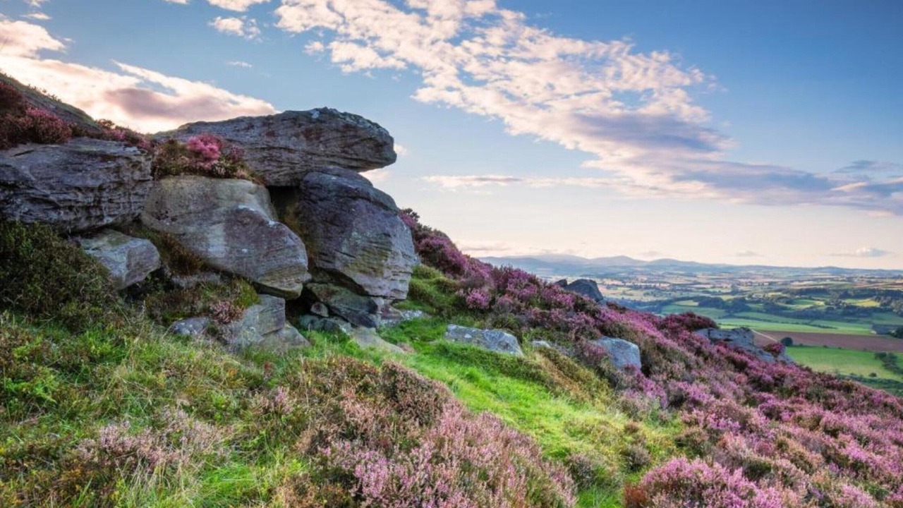 Photo of Others in Langley-on-Tyne