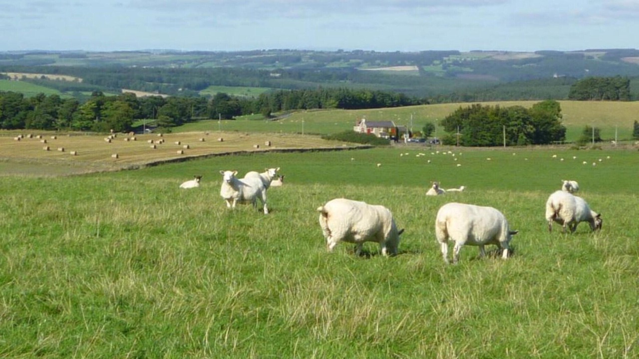 Photo of Others in Langley-on-Tyne