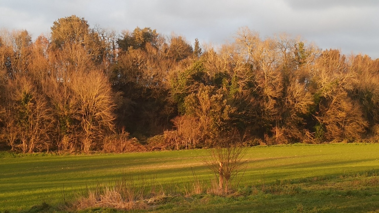 Photo of Others in Saint-Vaize