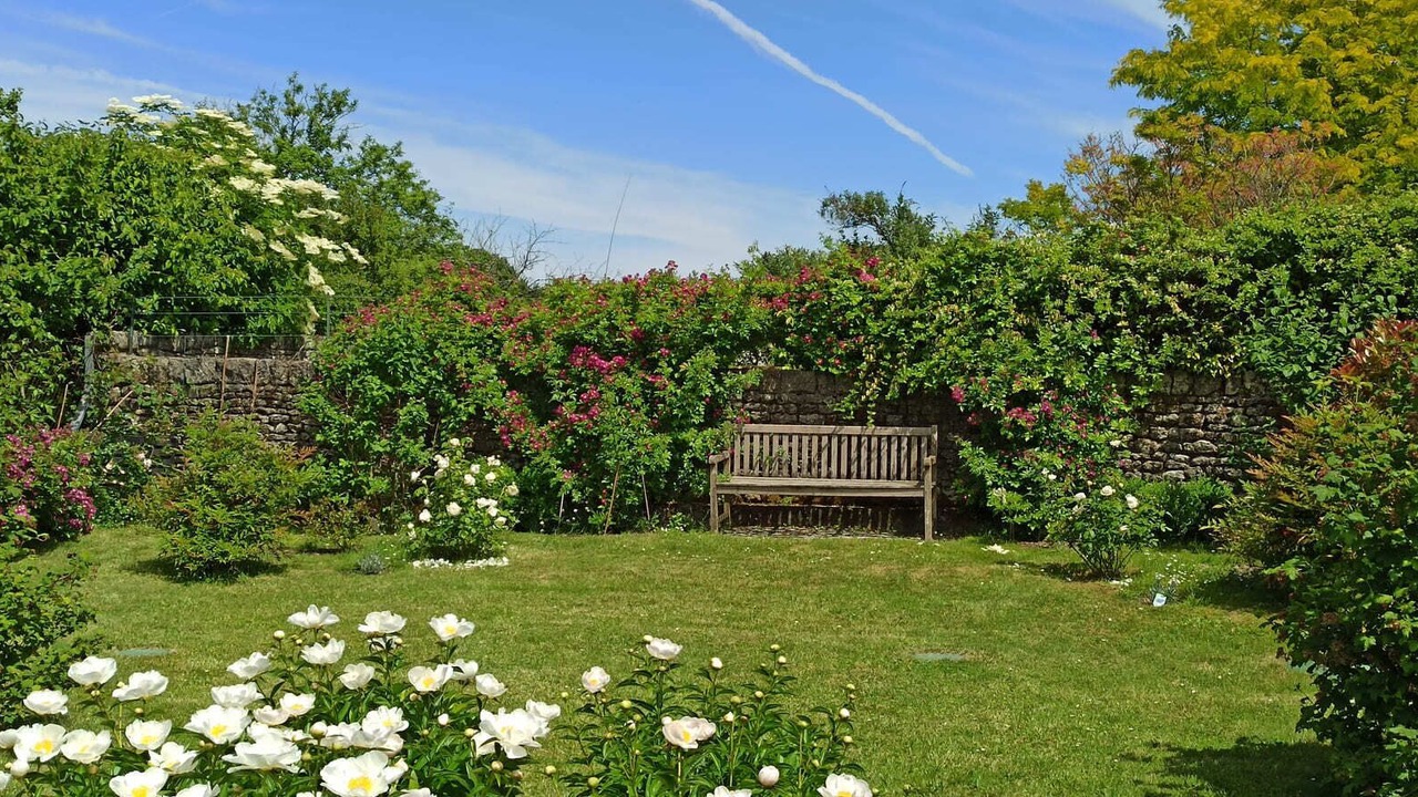 Photo of Outdoor in Saint-Vaize