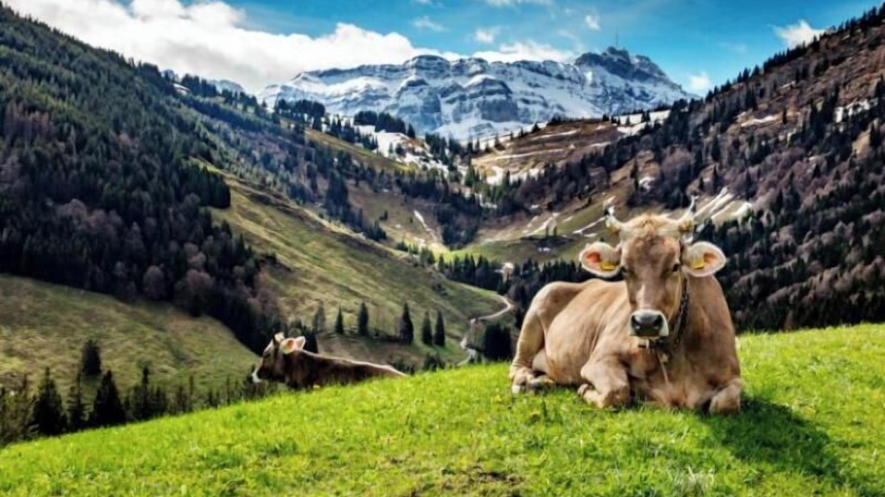 Photo of Outdoor in Urnaesch