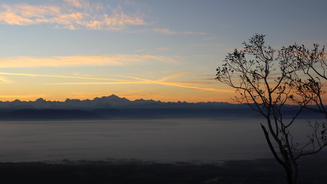 Photo of Others in Echenevex