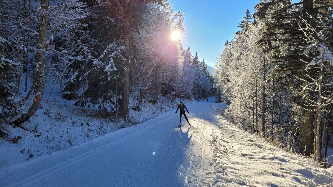 Photo of Others in Echenevex