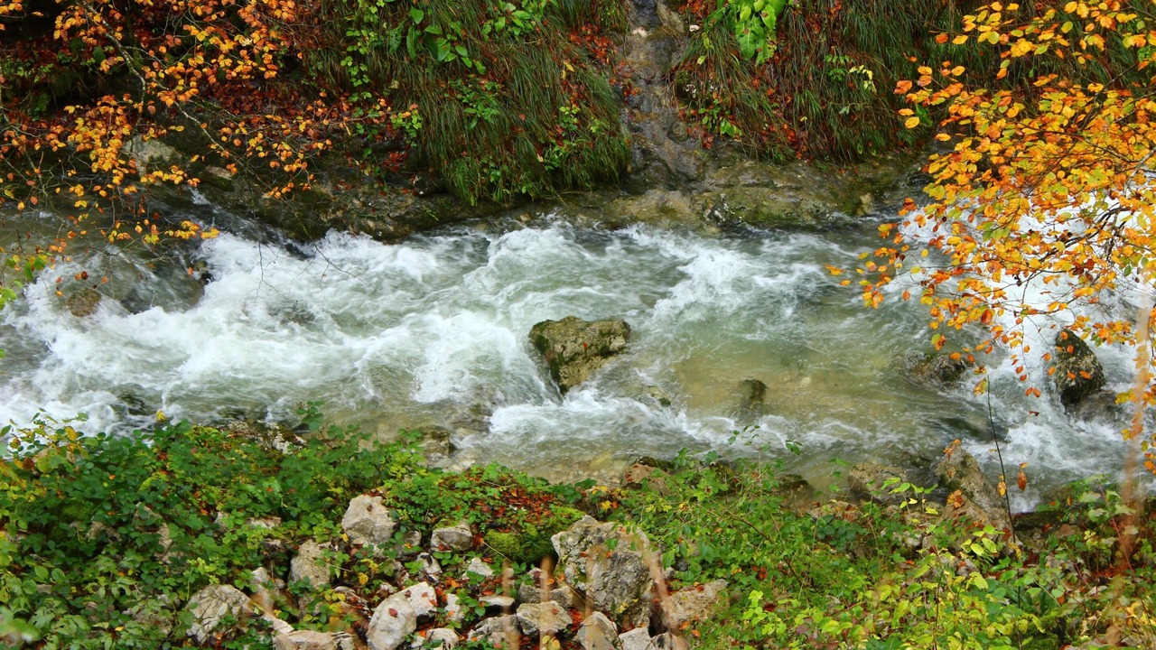 Photo of Others in Echenevex