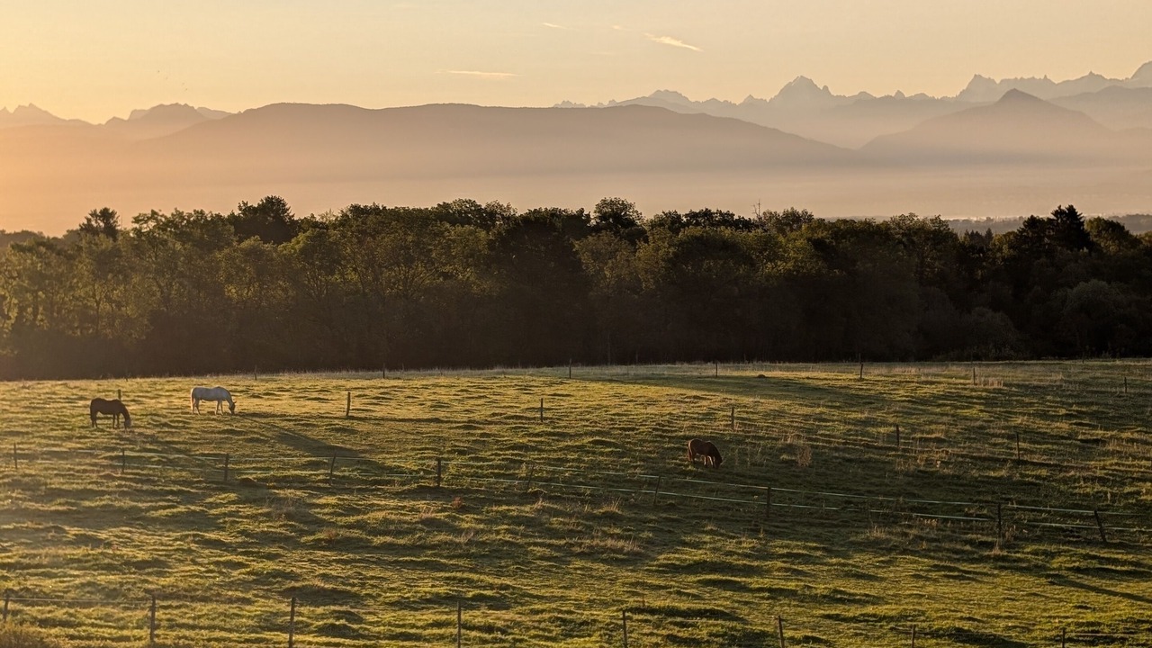 Photo of Bedroom in Echenevex