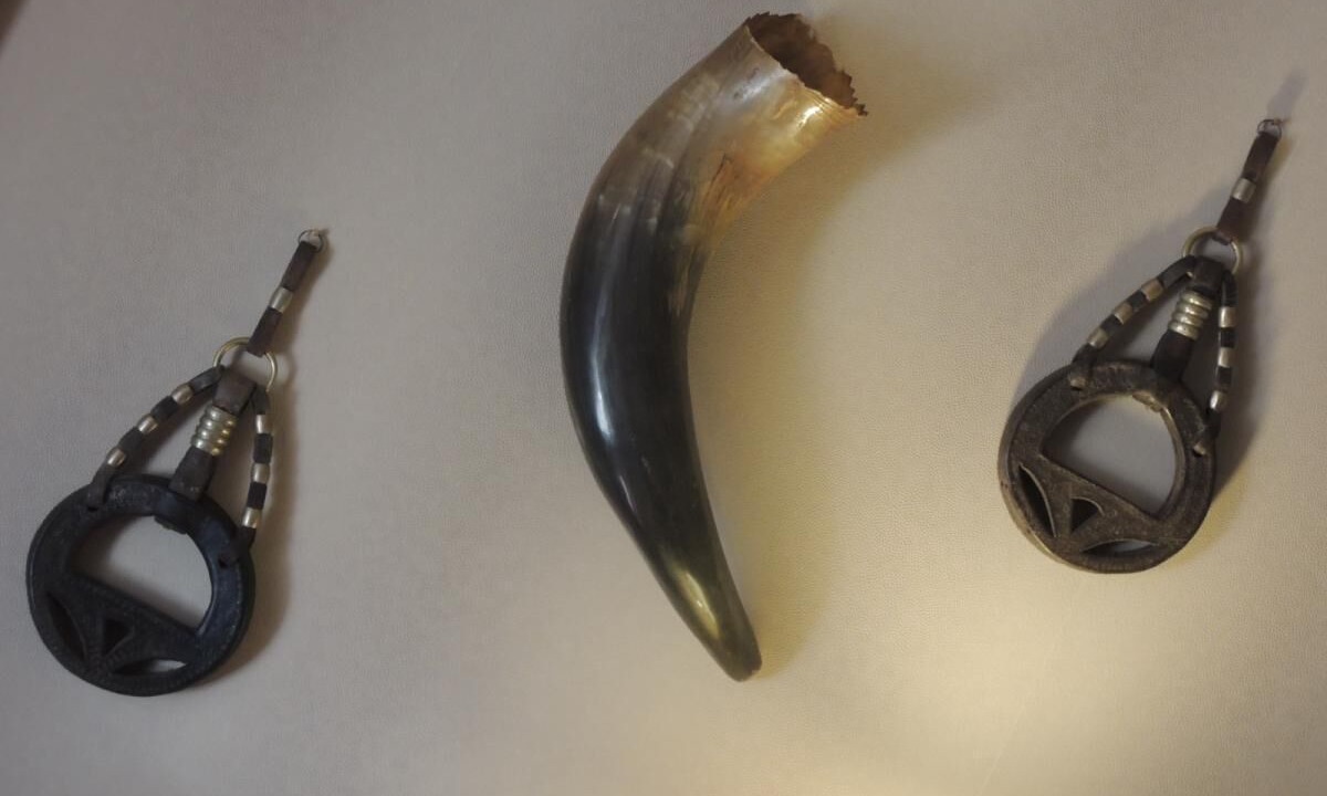 Photo of Outdoor in Biscarrosse