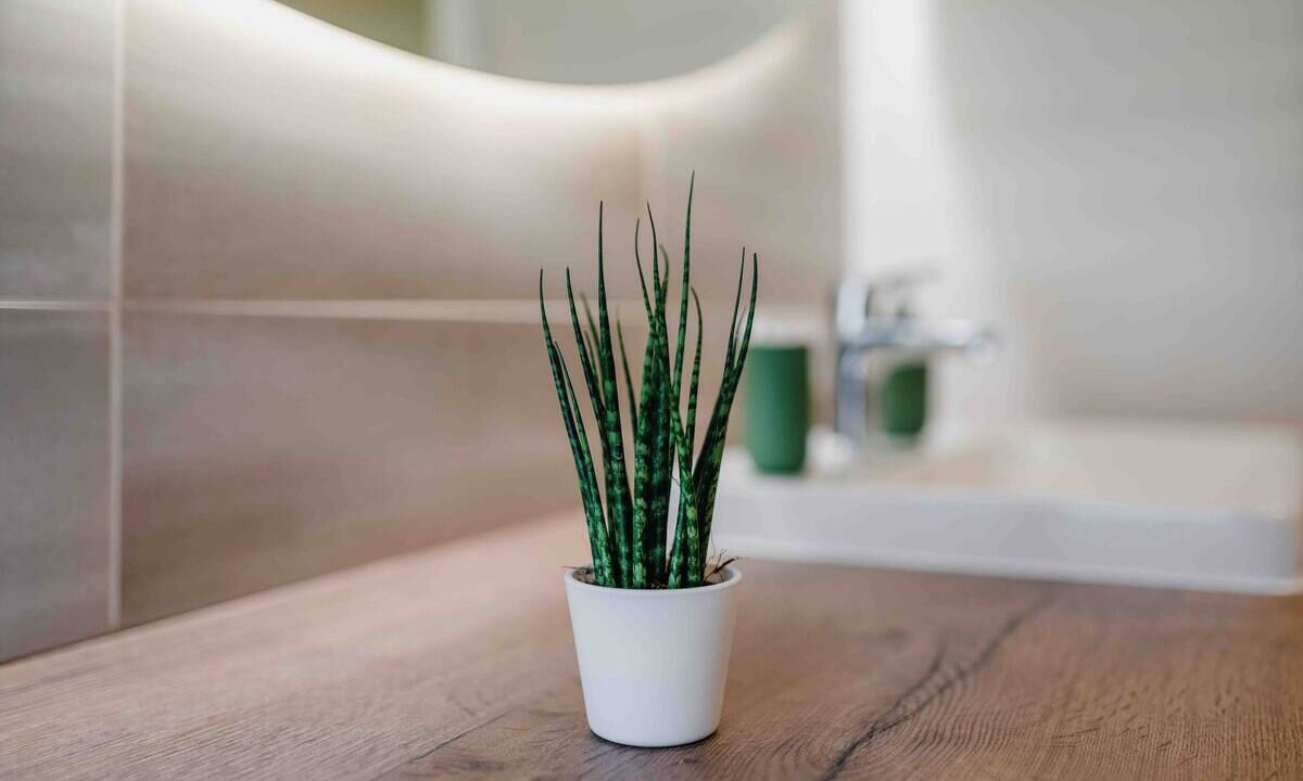 Photo of Bathroom in Boofzheim