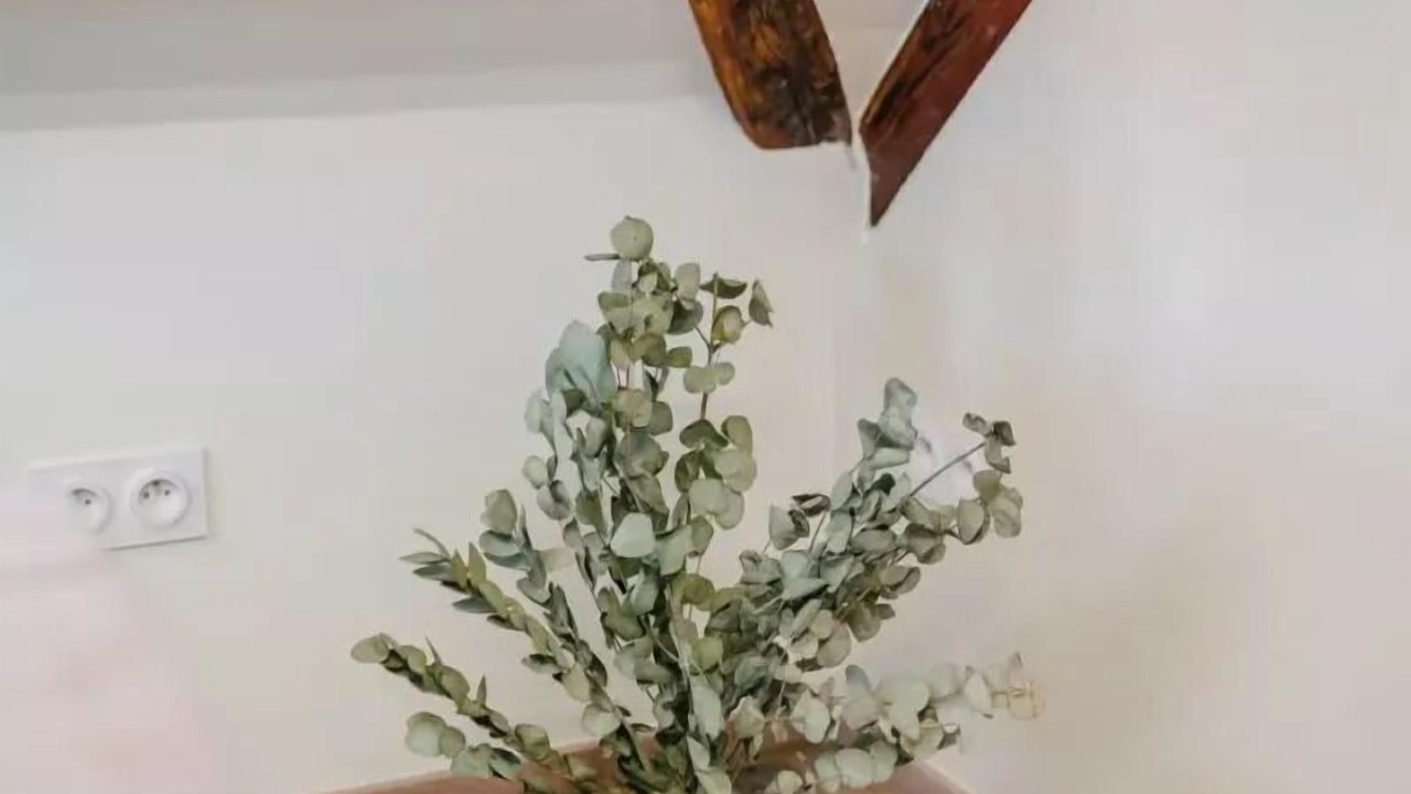 Photo of Others in Boofzheim