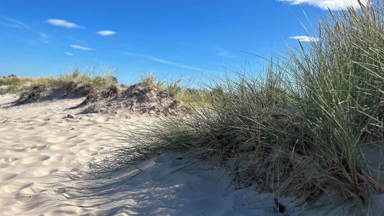 Photo of Others in Nairn