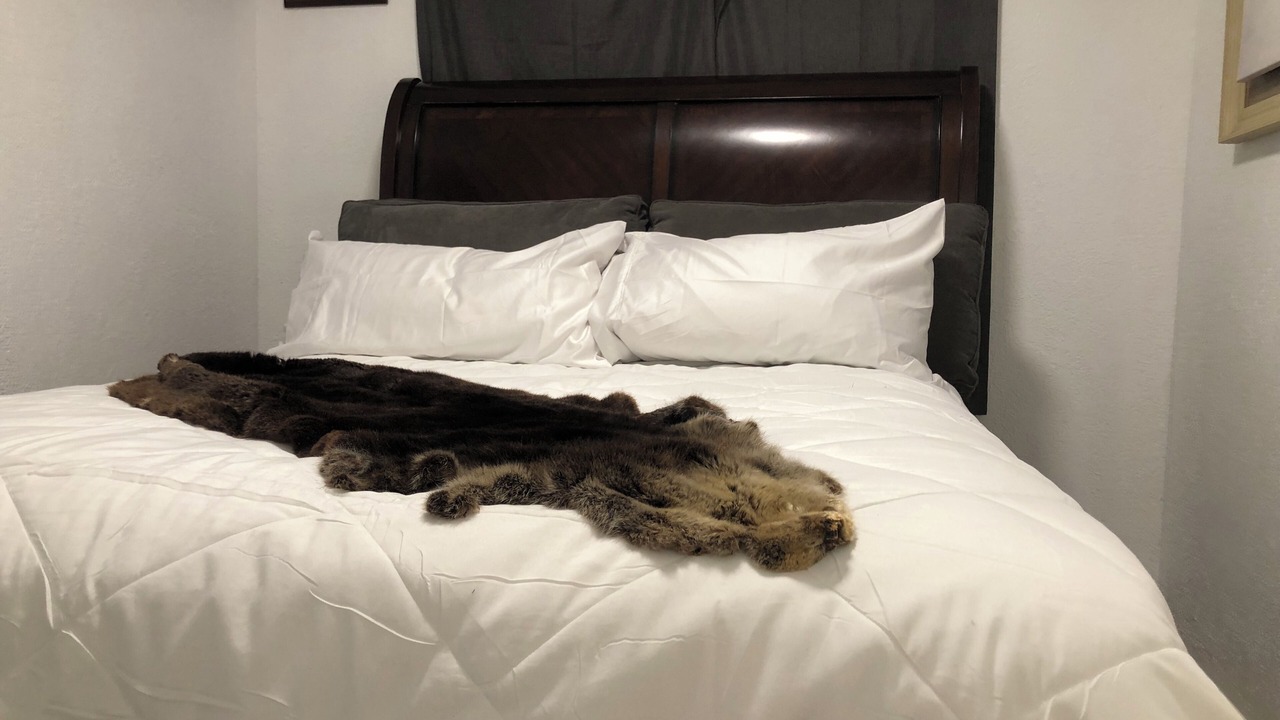 Photo of Bedroom in Northeast Anchorage