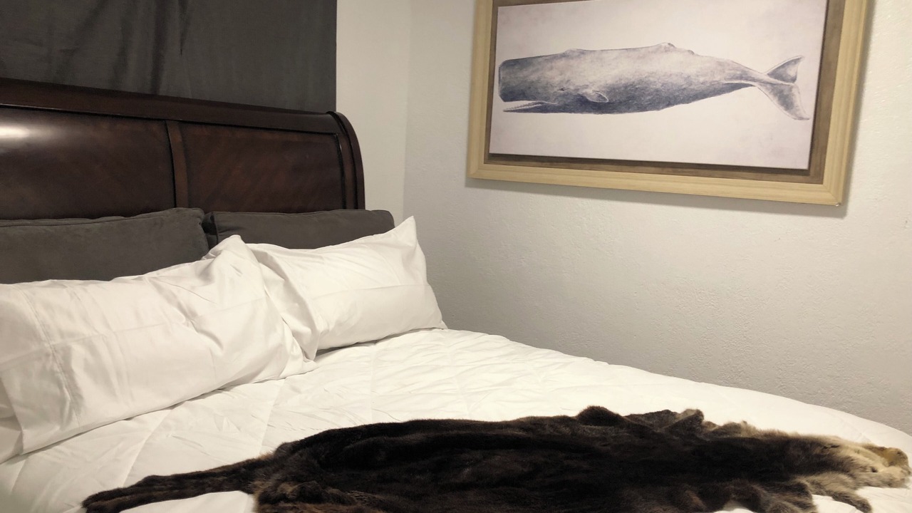 Photo of Bedroom in Northeast Anchorage
