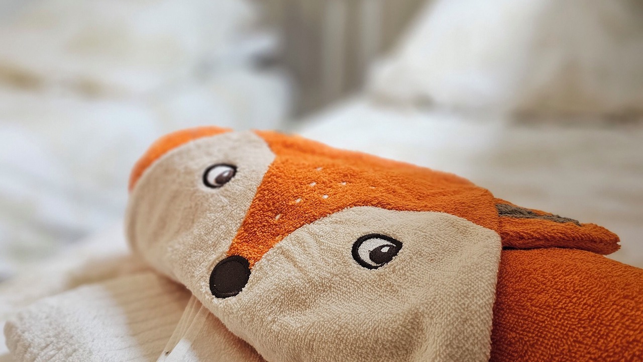 Photo of Others in Saint-Jean-Ligoure