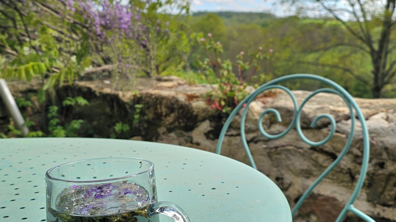 Photo of Outdoor in Saint-Jean-Ligoure