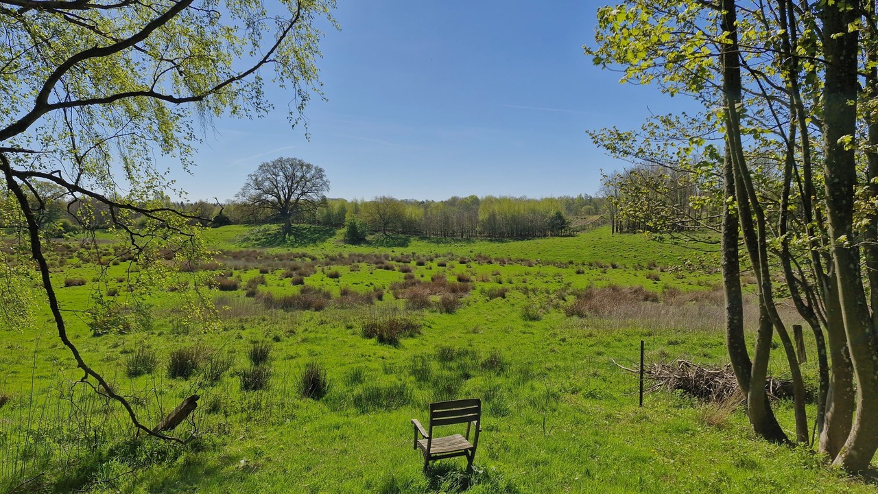 Photo of Outdoor in Haslev