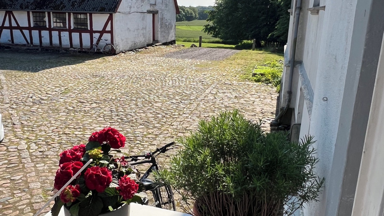 Photo of Outdoor in Haslev