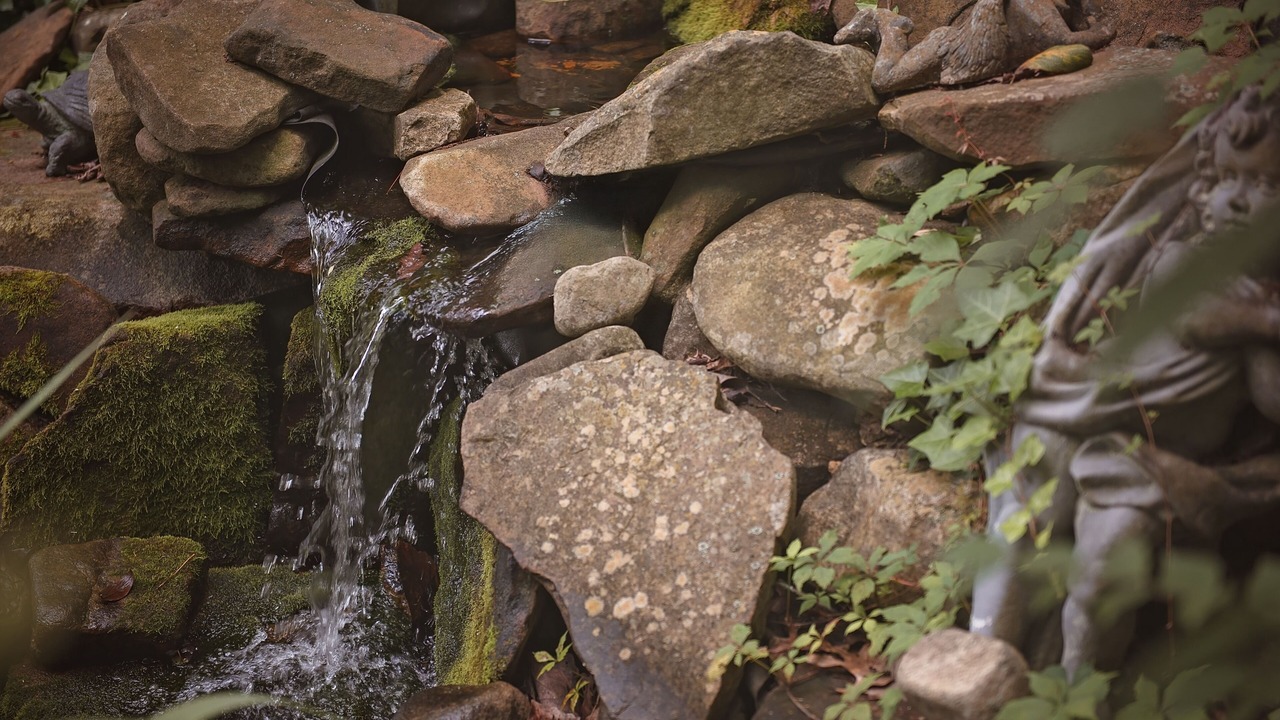 Photo of Outdoor in Lookout Mountain