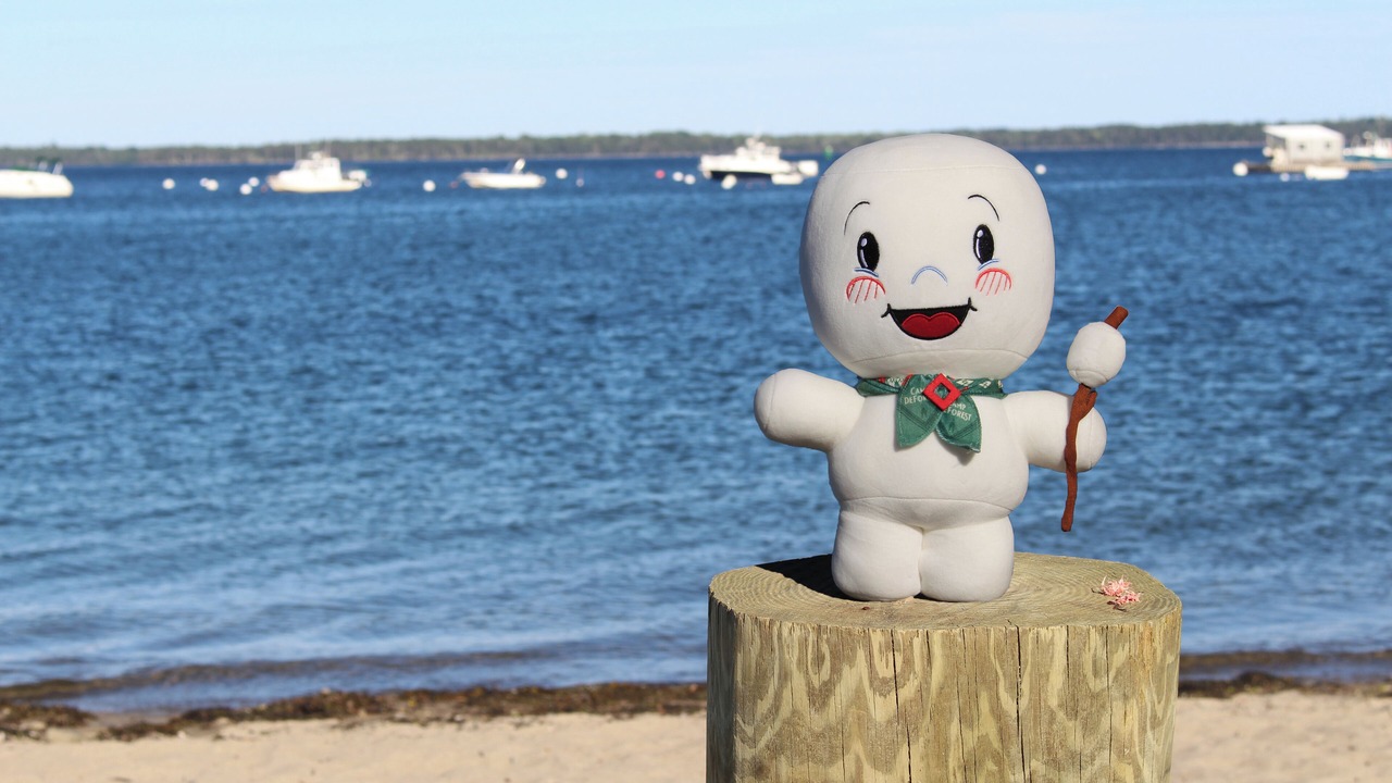 Photo of Others in Lincolnville