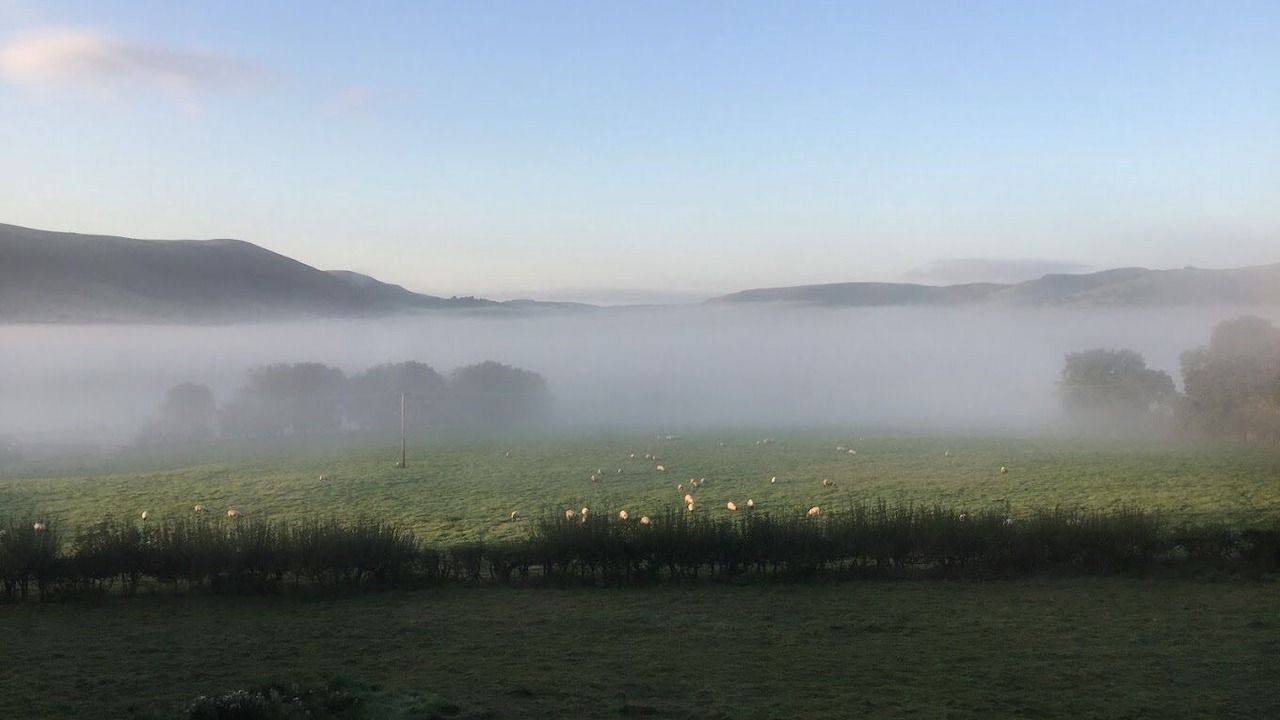 Photo of Bedroom in Llanbrynmair