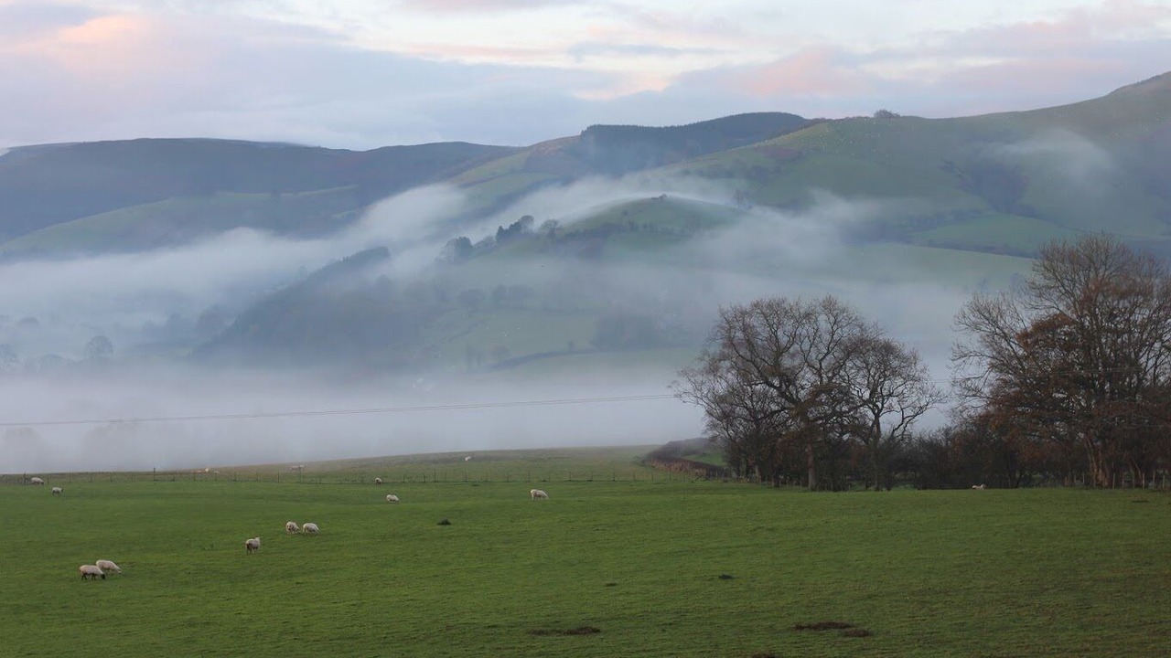 Photo of Others in Llanbrynmair
