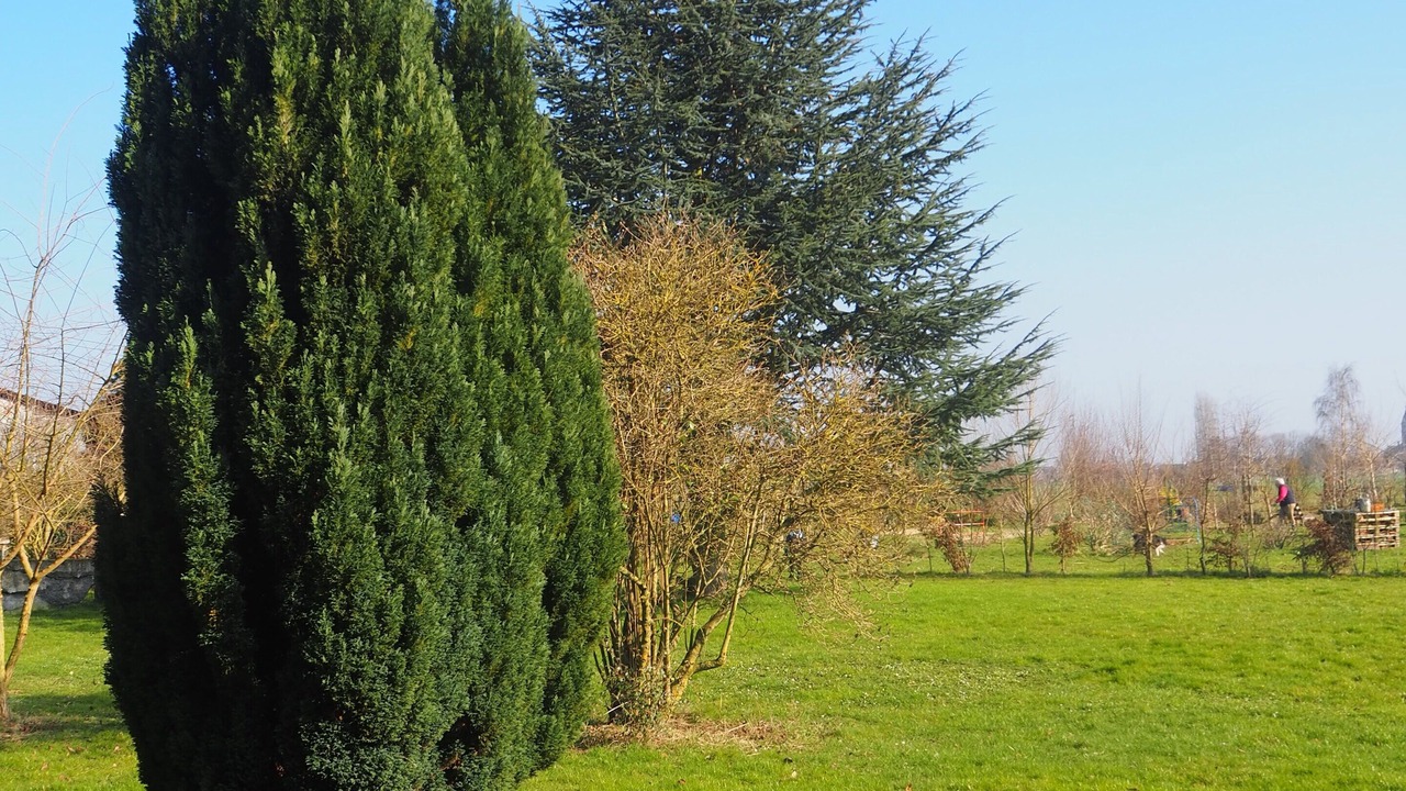 Photo of Outdoor in Sainghin-en-Weppes