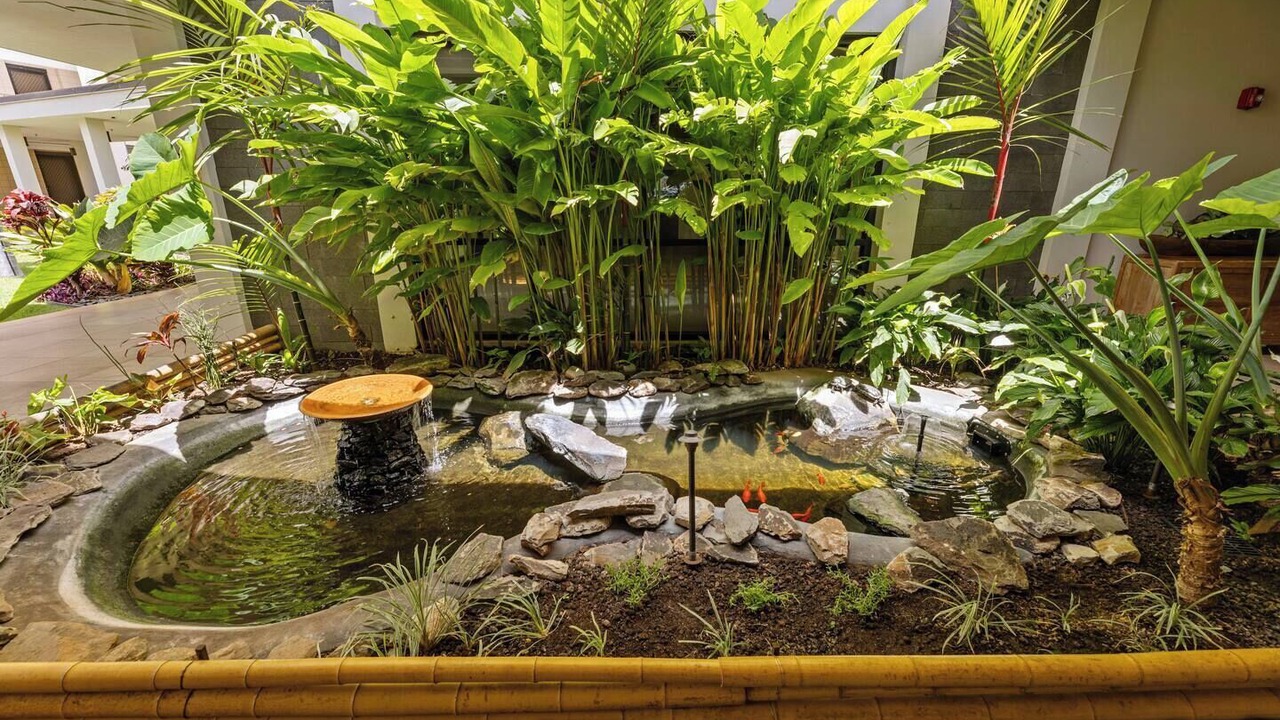 Photo of Outdoor in Kahana