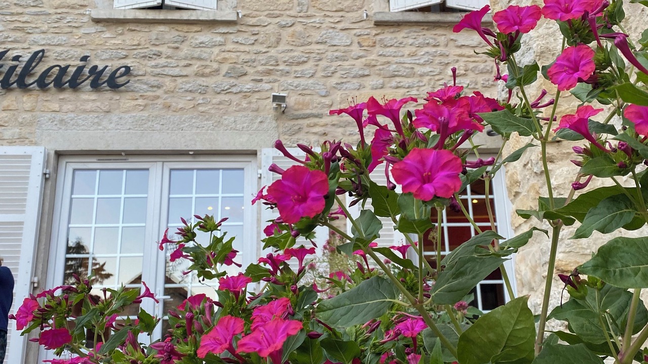 Photo of Outdoor in Saint-Hilaire-de-Brens