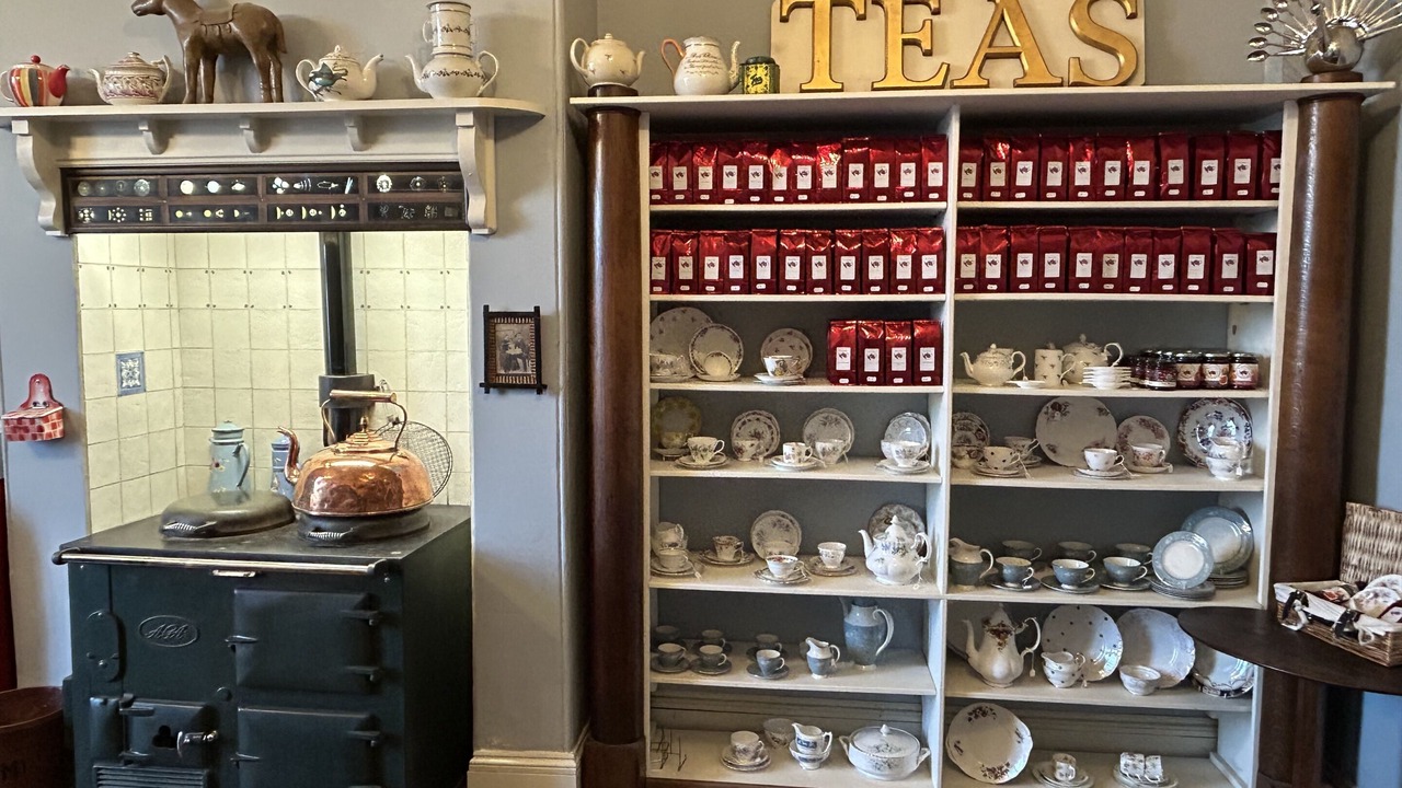 Photo of Others in Ely