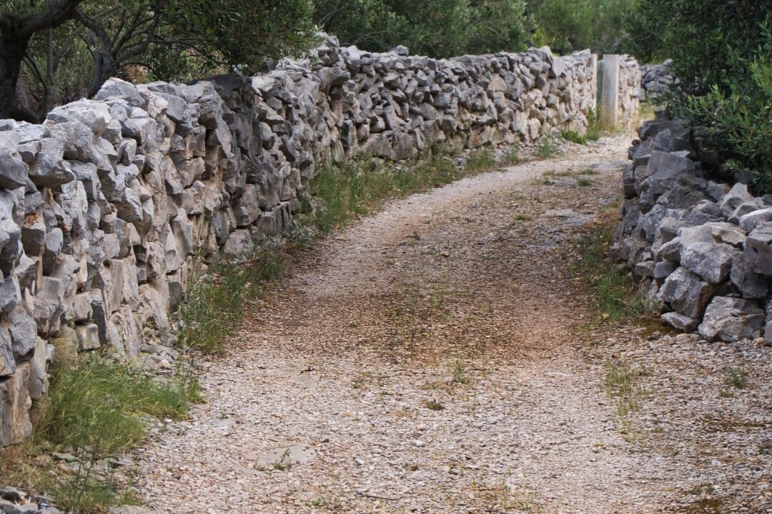 Photo of Outdoor in Drvenik Mali