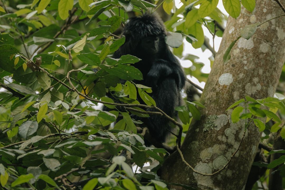 Photo of Outdoor in Selong Belanak