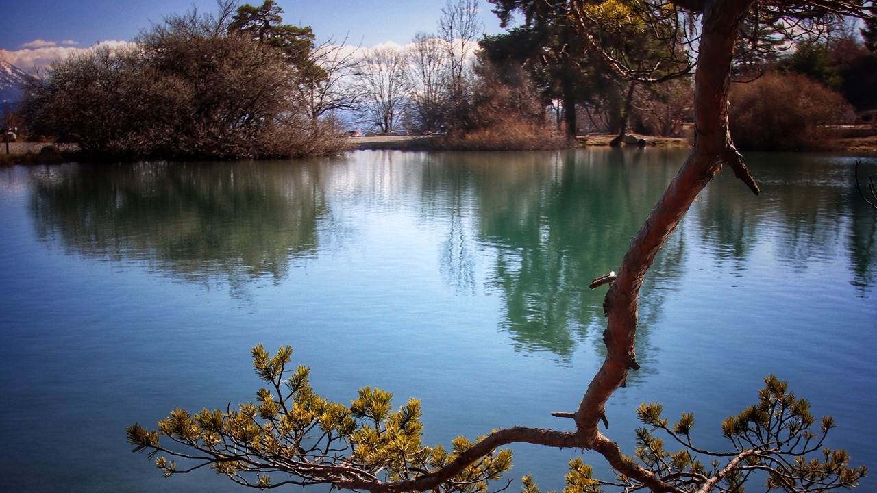 Photo of Others in Saint-Apollinaire